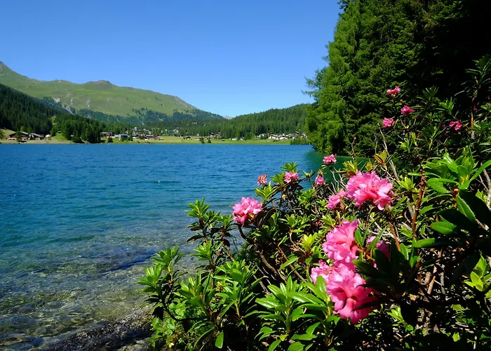 Semesteranläggning (resort) Alpengold