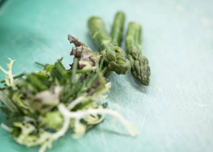 リゾート Alpengold