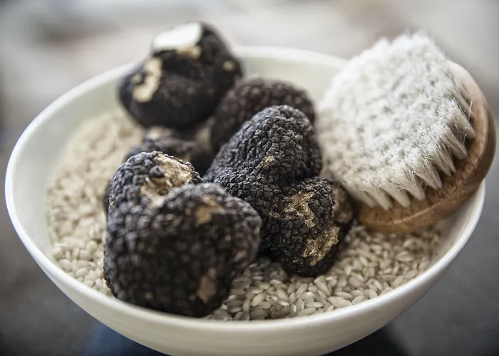 Alpengold Station touristique 5*